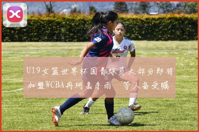 U19女篮世界杯国青球员大部分即将加盟WCBA冉珂嘉李雨汧等人备受瞩目